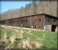 Cool old poultry barn